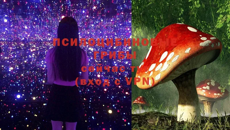 Псилоцибиновые грибы MAGIC MUSHROOMS  Белогорск 